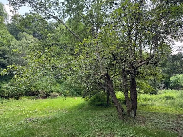 Glen Bernie Road, Delhi, New York 13753, Delhi, New York 13753, ,Land,For Sale,Glen Bernie Road, Delhi, New York 13753,R1619165