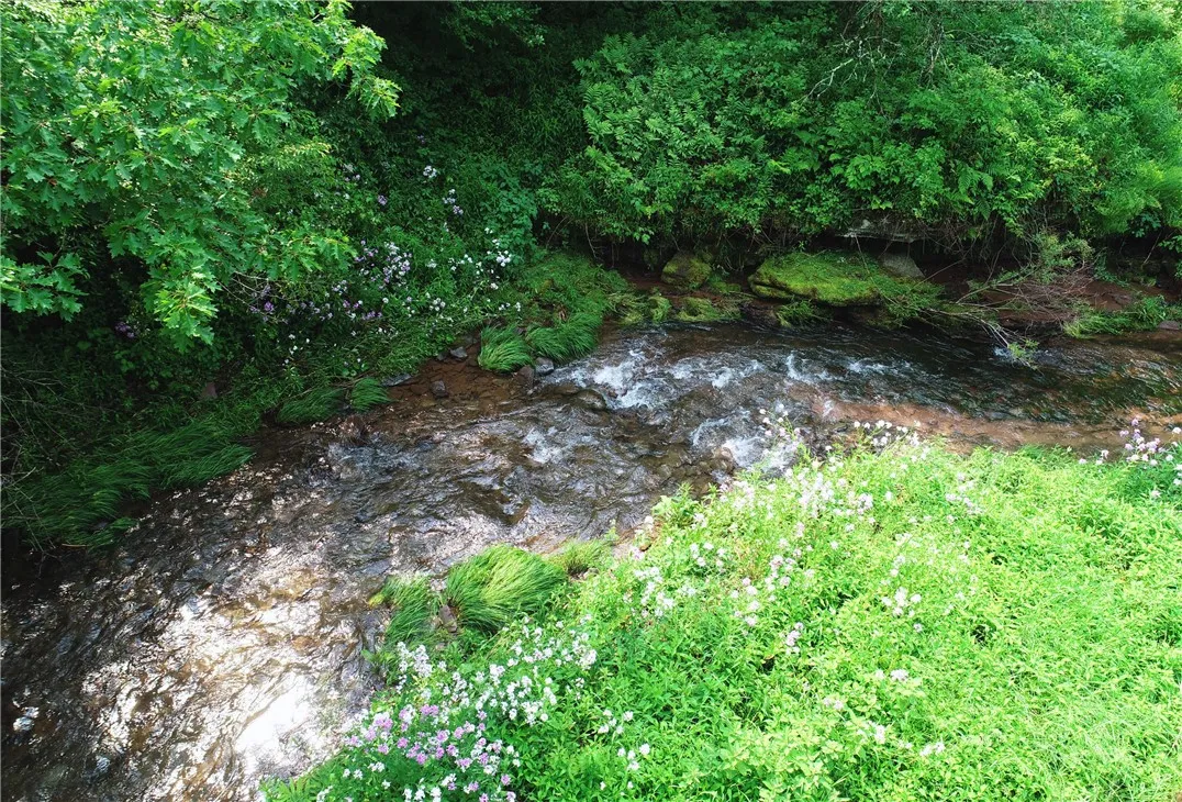 Glen Bernie Road, Delhi, New York 13753, Delhi, New York 13753, ,Land,For Sale,Glen Bernie Road, Delhi, New York 13753,R1619165