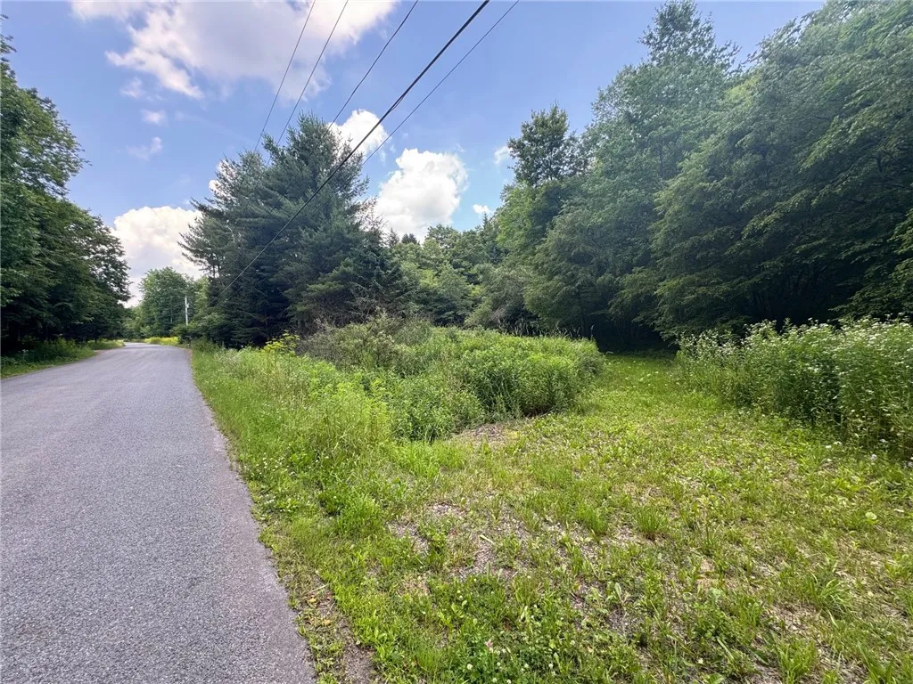 Glen Bernie Road, Delhi, New York 13753, Delhi, New York 13753, ,Land,For Sale,Glen Bernie Road, Delhi, New York 13753,R1619165