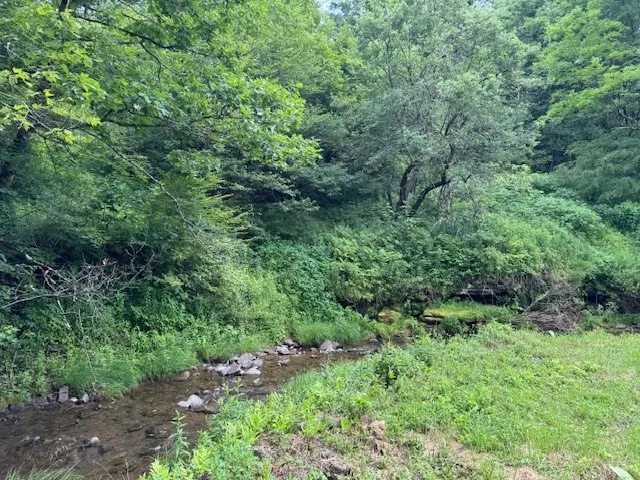Glen Bernie Road, Delhi, New York 13753, Delhi, New York 13753, ,Land,For Sale,Glen Bernie Road, Delhi, New York 13753,R1619165