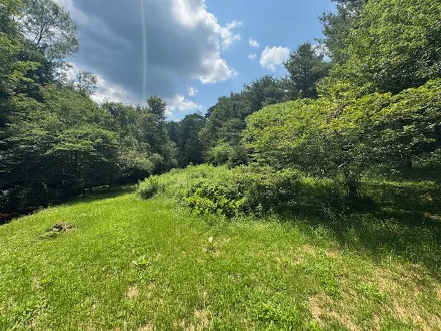 Glen Bernie Road, Delhi, New York 13753, Delhi, New York 13753, ,Land,For Sale,Glen Bernie Road, Delhi, New York 13753,R1619165