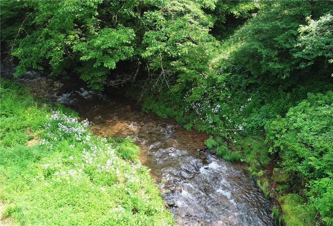 Glen Bernie Road, Delhi, New York 13753, Delhi, New York 13753, ,Land,For Sale,Glen Bernie Road, Delhi, New York 13753,R1619165