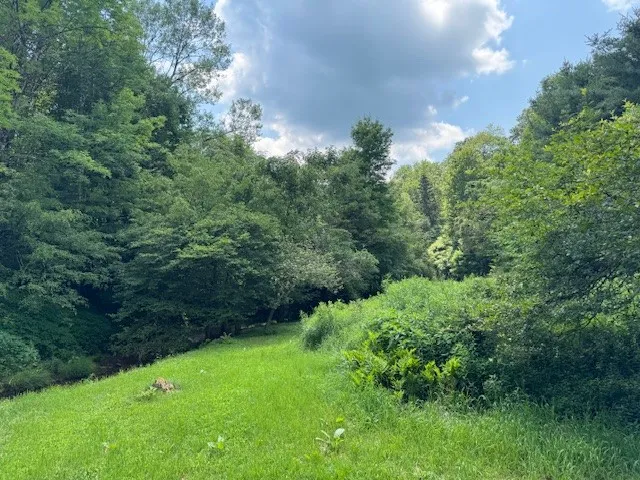 Glen Bernie Road, Delhi, New York 13753, Delhi, New York 13753, ,Land,For Sale,Glen Bernie Road, Delhi, New York 13753,R1619165