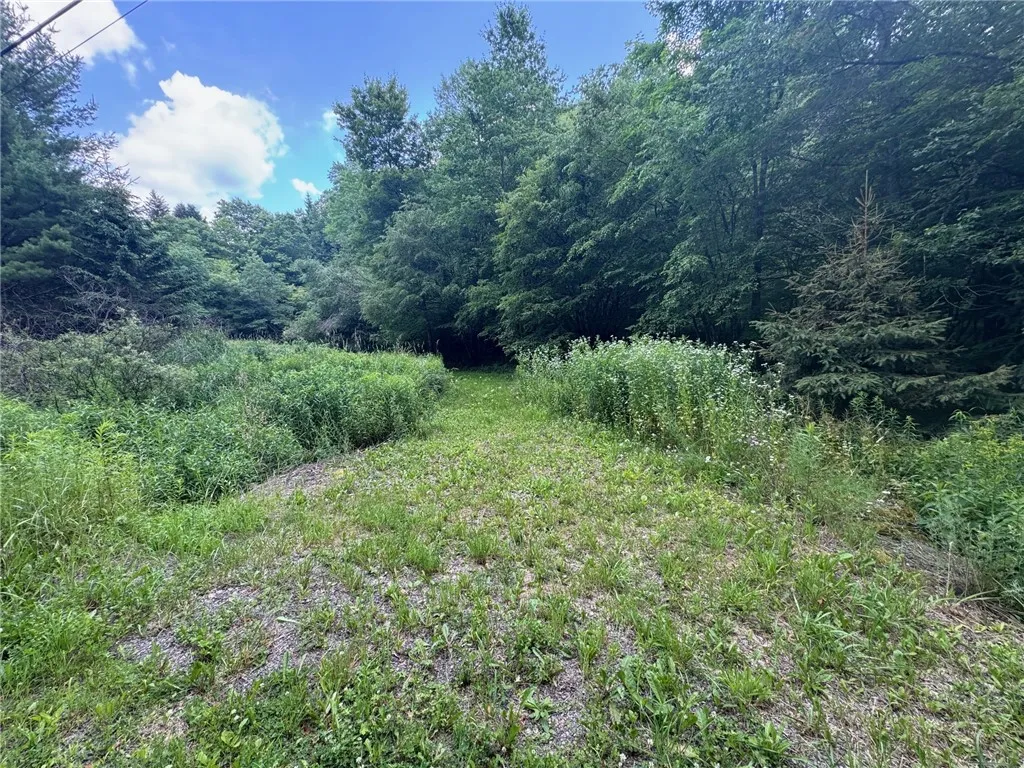 Glen Bernie Road, Delhi, New York 13753, Delhi, New York 13753, ,Land,For Sale,Glen Bernie Road, Delhi, New York 13753,R1619165