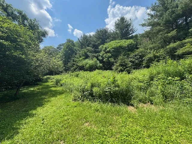 Glen Bernie Road, Delhi, New York 13753, Delhi, New York 13753, ,Land,For Sale,Glen Bernie Road, Delhi, New York 13753,R1619165