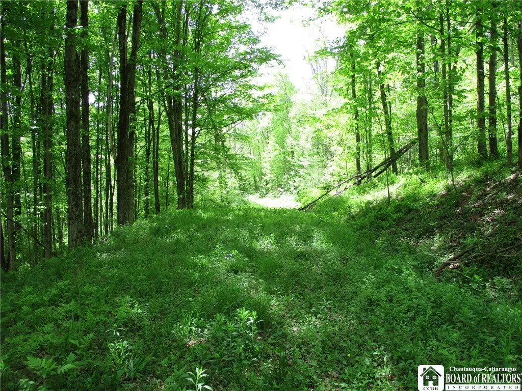 Yankee Road, Ischua, New York 14743, Ischua, New York 14743, ,Land,For Sale,Yankee Road, Ischua, New York 14743,R1622089