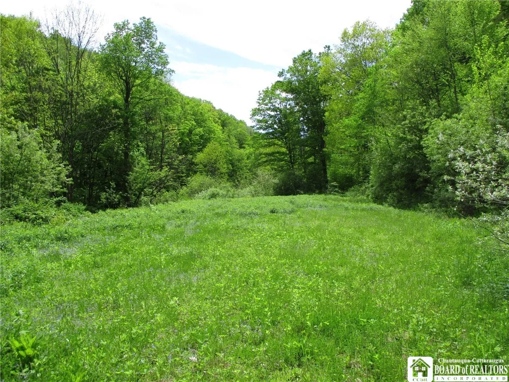 Yankee Road, Ischua, New York 14743, Ischua, New York 14743, ,Land,For Sale,Yankee Road, Ischua, New York 14743,R1622089
