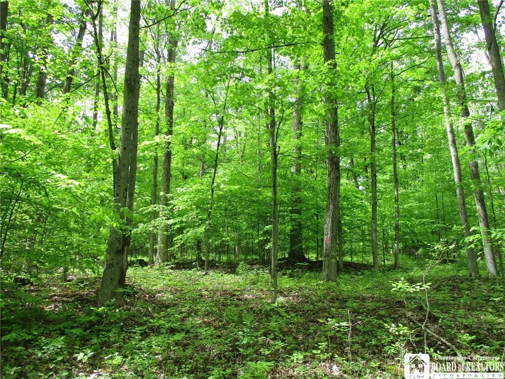 Yankee Road, Ischua, New York 14743, Ischua, New York 14743, ,Land,For Sale,Yankee Road, Ischua, New York 14743,R1622089