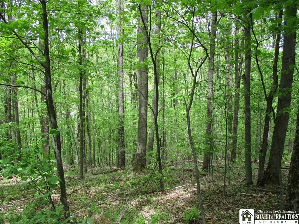 Yankee Road, Ischua, New York 14743, Ischua, New York 14743, ,Land,For Sale,Yankee Road, Ischua, New York 14743,R1622089
