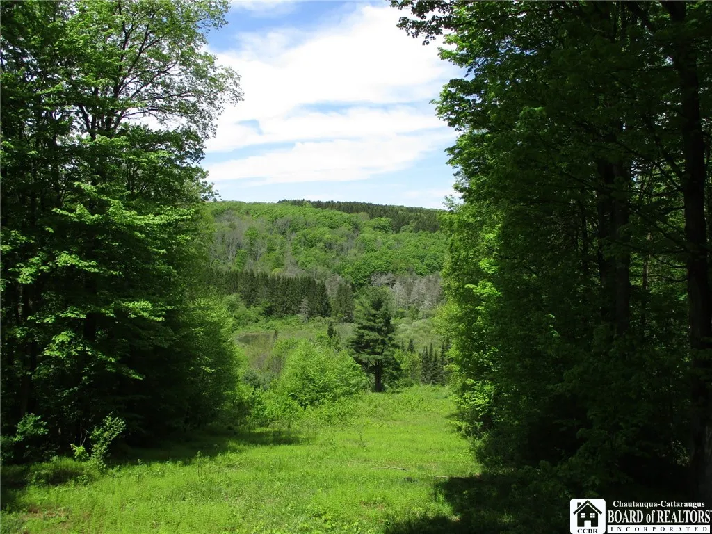 Yankee Road, Ischua, New York 14743, Ischua, New York 14743, ,Land,For Sale,Yankee Road, Ischua, New York 14743,R1622089