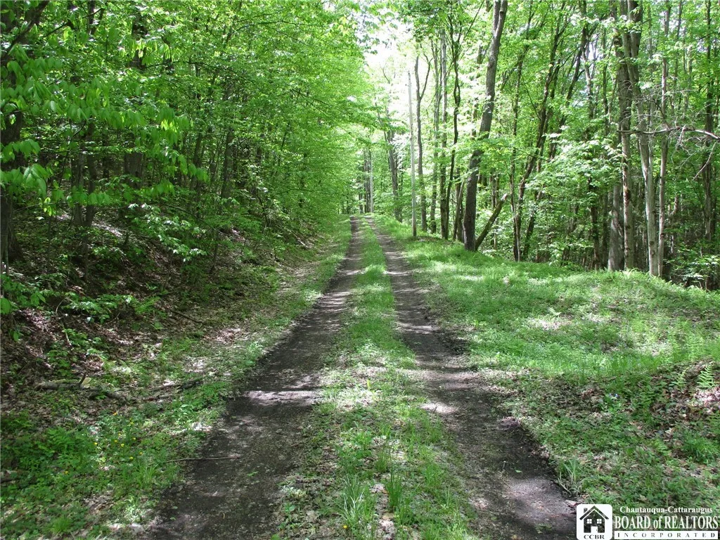 Yankee Road, Ischua, New York 14743, Ischua, New York 14743, ,Land,For Sale,Yankee Road, Ischua, New York 14743,R1622089