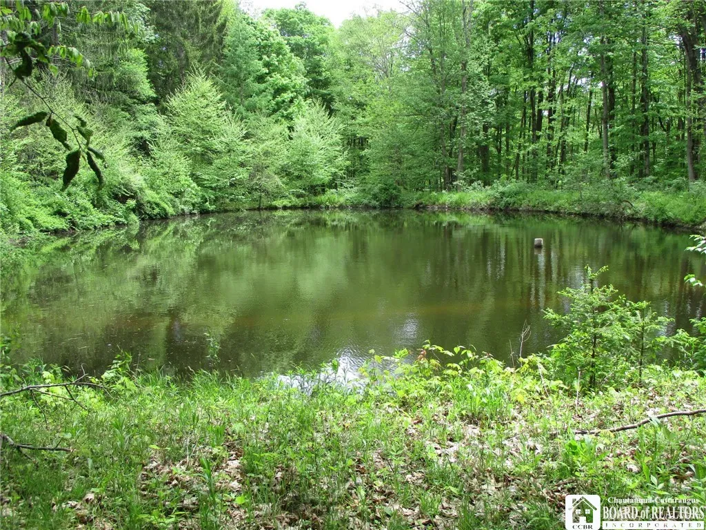 Yankee Road, Ischua, New York 14743, Ischua, New York 14743, ,Land,For Sale,Yankee Road, Ischua, New York 14743,R1622089