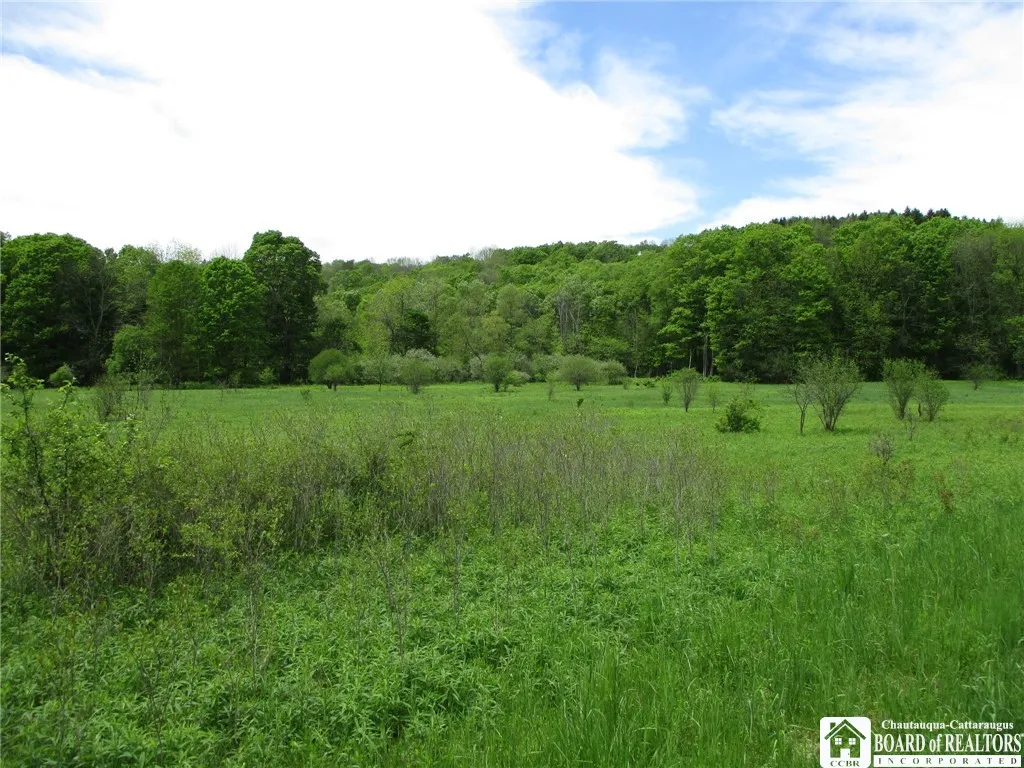 Yankee Road, Ischua, New York 14743, Ischua, New York 14743, ,Land,For Sale,Yankee Road, Ischua, New York 14743,R1622089