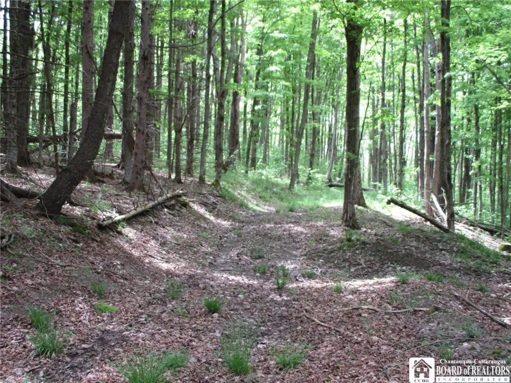 Yankee Road, Ischua, New York 14743, Ischua, New York 14743, ,Land,For Sale,Yankee Road, Ischua, New York 14743,R1622089