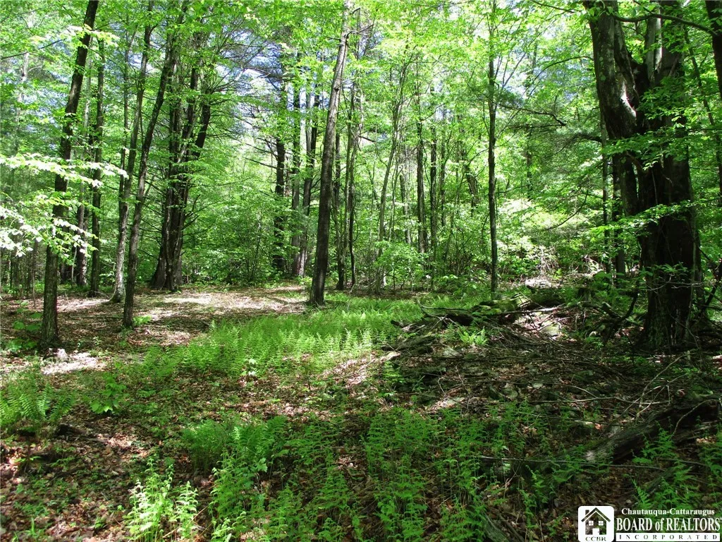 Yankee Road, Ischua, New York 14743, Ischua, New York 14743, ,Land,For Sale,Yankee Road, Ischua, New York 14743,R1622089