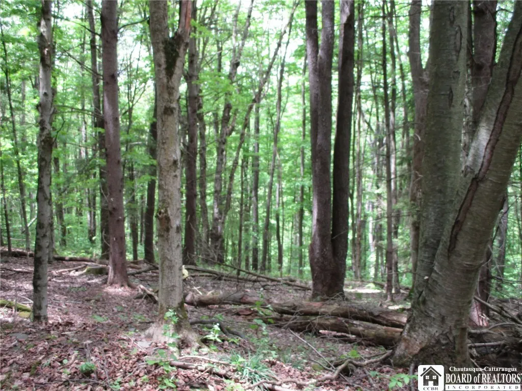 Yankee Road, Ischua, New York 14743, Ischua, New York 14743, ,Land,For Sale,Yankee Road, Ischua, New York 14743,R1622089