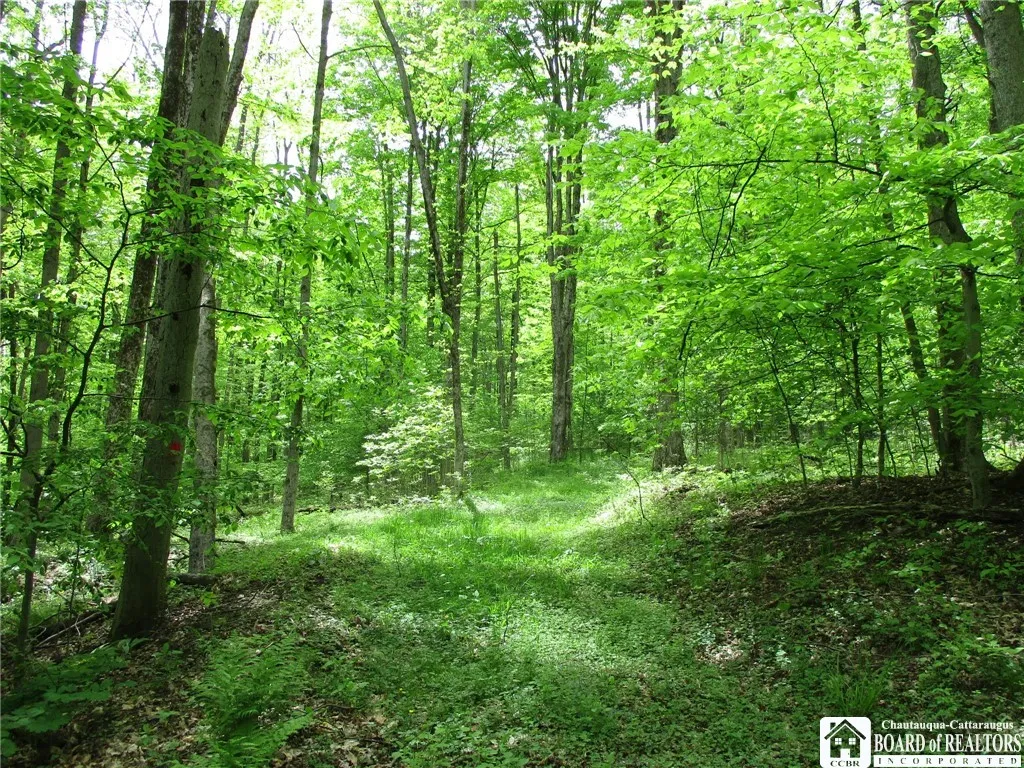 Yankee Road, Ischua, New York 14743, Ischua, New York 14743, ,Land,For Sale,Yankee Road, Ischua, New York 14743,R1622089