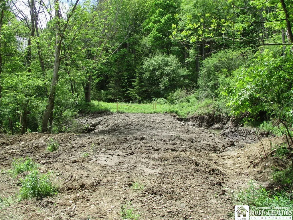 Yankee Road, Ischua, New York 14743, Ischua, New York 14743, ,Land,For Sale,Yankee Road, Ischua, New York 14743,R1622089