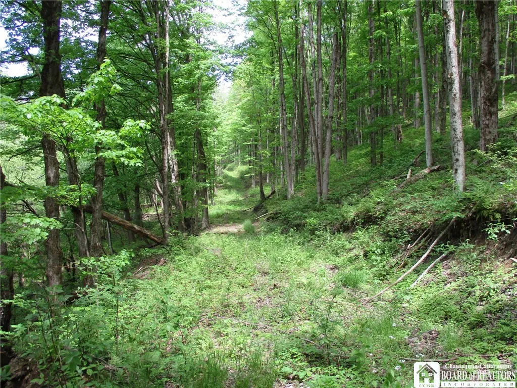 Yankee Road, Ischua, New York 14743, Ischua, New York 14743, ,Land,For Sale,Yankee Road, Ischua, New York 14743,R1622089