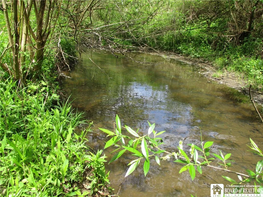 Yankee Road, Ischua, New York 14743, Ischua, New York 14743, ,Land,For Sale,Yankee Road, Ischua, New York 14743,R1622089