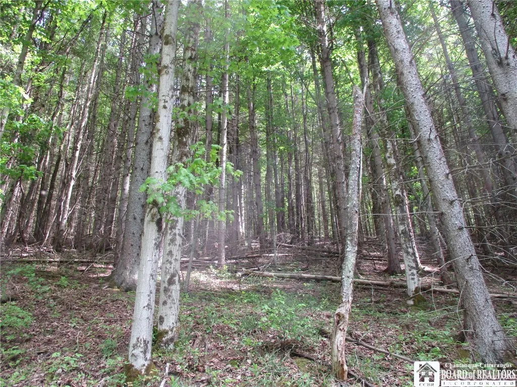 Yankee Road, Ischua, New York 14743, Ischua, New York 14743, ,Land,For Sale,Yankee Road, Ischua, New York 14743,R1622089