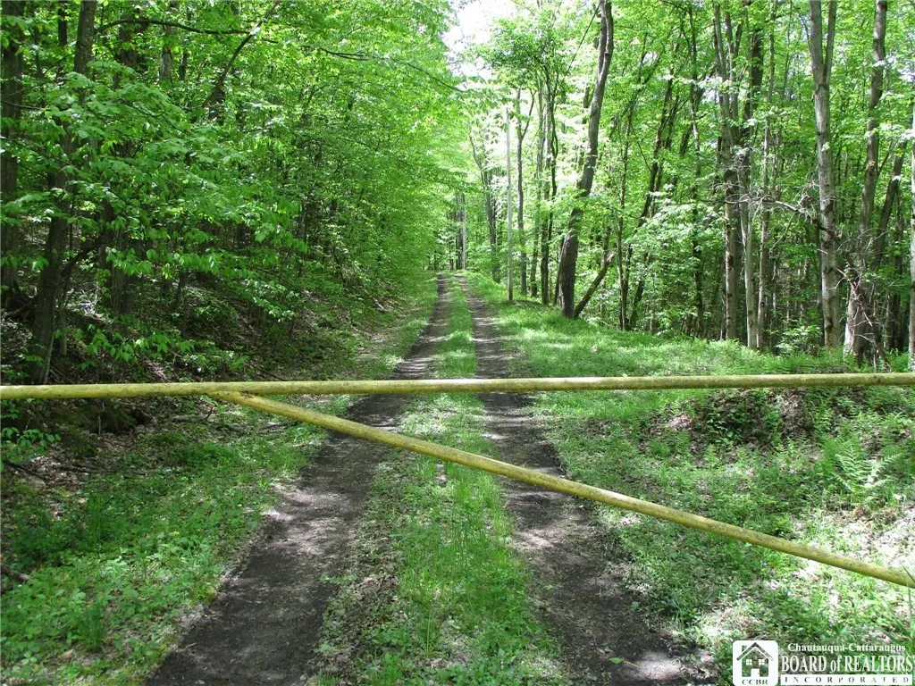 Yankee Road, Ischua, New York 14743, Ischua, New York 14743, ,Land,For Sale,Yankee Road, Ischua, New York 14743,R1622089