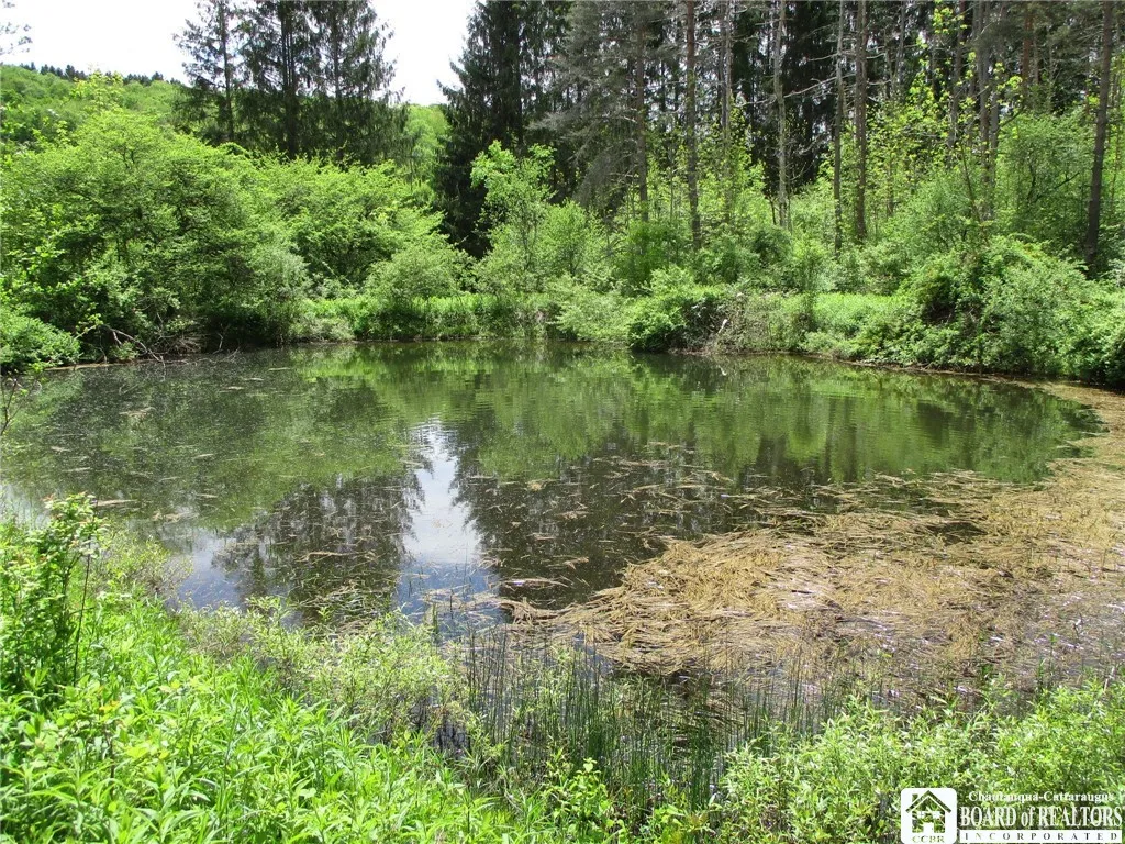 Yankee Road, Ischua, New York 14743, Ischua, New York 14743, ,Land,For Sale,Yankee Road, Ischua, New York 14743,R1622089