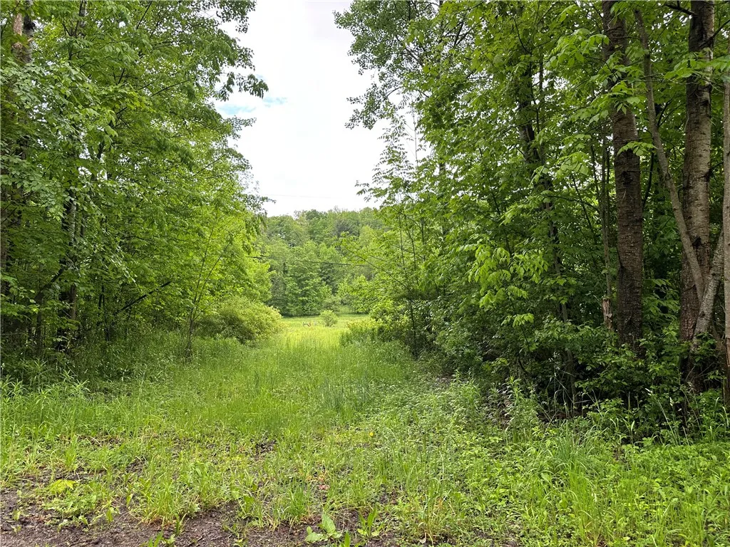 7739 Monihan Road, Wirt, New York 14739, Wirt, New York 14739, 5 Bedrooms Bedrooms, ,1 BathroomBathrooms,Land,For Sale,7739 Monihan Road, Wirt, New York 14739,R1622592