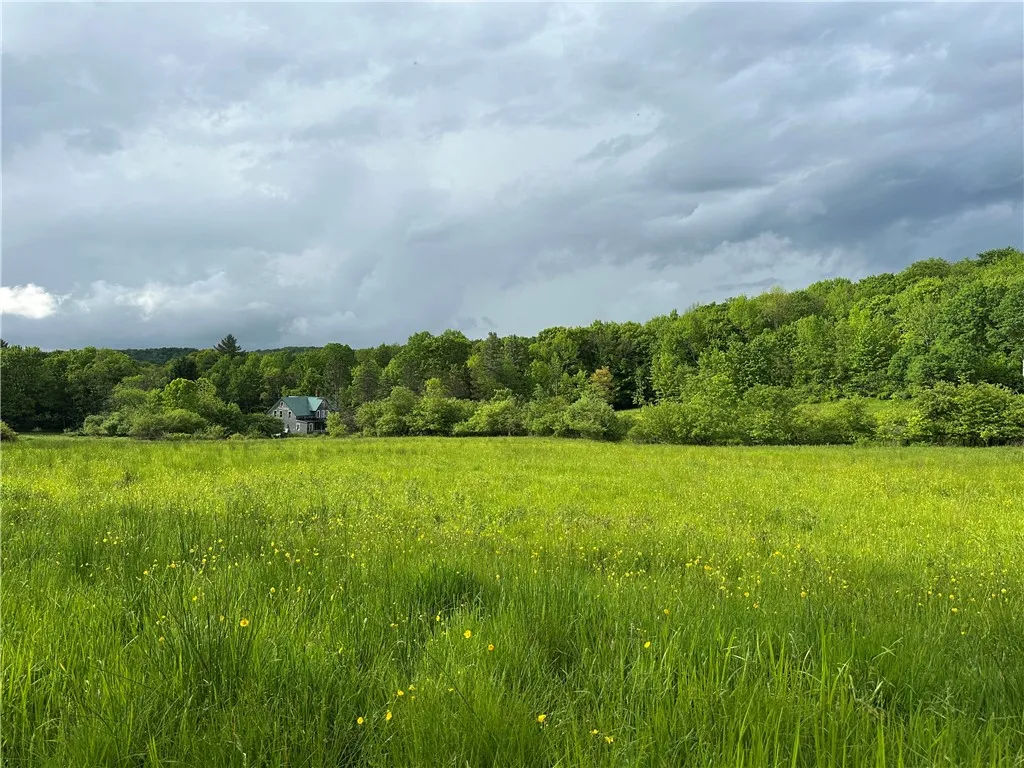 7739 Monihan Road, Wirt, New York 14739, Wirt, New York 14739, 5 Bedrooms Bedrooms, ,1 BathroomBathrooms,Land,For Sale,7739 Monihan Road, Wirt, New York 14739,R1622592