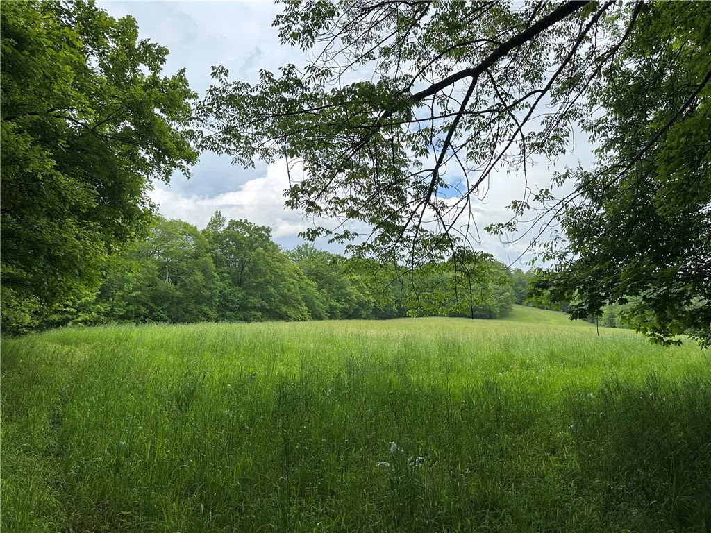 7739 Monihan Road, Wirt, New York 14739, Wirt, New York 14739, 5 Bedrooms Bedrooms, ,1 BathroomBathrooms,Land,For Sale,7739 Monihan Road, Wirt, New York 14739,R1622592