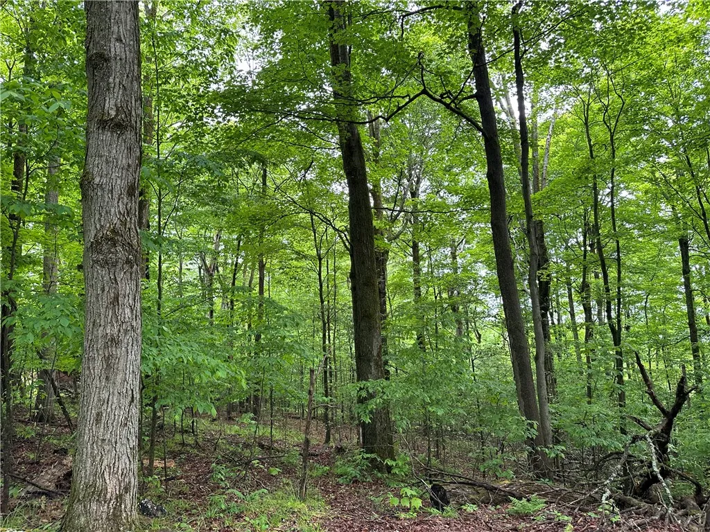 7739 Monihan Road, Wirt, New York 14739, Wirt, New York 14739, 5 Bedrooms Bedrooms, ,1 BathroomBathrooms,Land,For Sale,7739 Monihan Road, Wirt, New York 14739,R1622592
