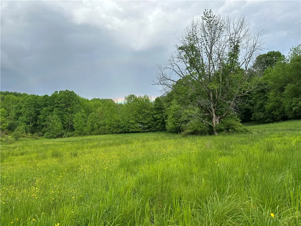 7739 Monihan Road, Wirt, New York 14739, Wirt, New York 14739, 5 Bedrooms Bedrooms, ,1 BathroomBathrooms,Land,For Sale,7739 Monihan Road, Wirt, New York 14739,R1622592