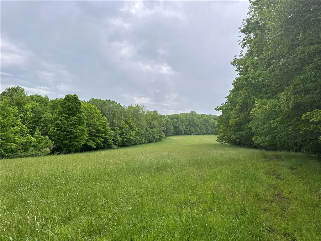 7739 Monihan Road, Wirt, New York 14739, Wirt, New York 14739, 5 Bedrooms Bedrooms, ,1 BathroomBathrooms,Land,For Sale,7739 Monihan Road, Wirt, New York 14739,R1622592