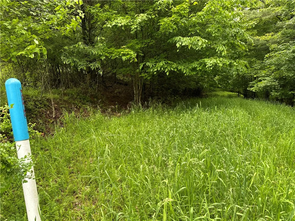 7739 Monihan Road, Wirt, New York 14739, Wirt, New York 14739, 5 Bedrooms Bedrooms, ,1 BathroomBathrooms,Land,For Sale,7739 Monihan Road, Wirt, New York 14739,R1622592