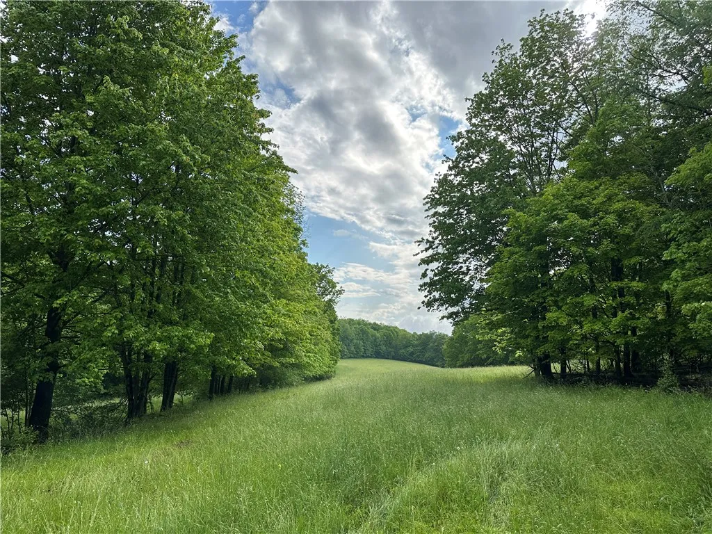 7739 Monihan Road, Wirt, New York 14739, Wirt, New York 14739, 5 Bedrooms Bedrooms, ,1 BathroomBathrooms,Land,For Sale,7739 Monihan Road, Wirt, New York 14739,R1622592