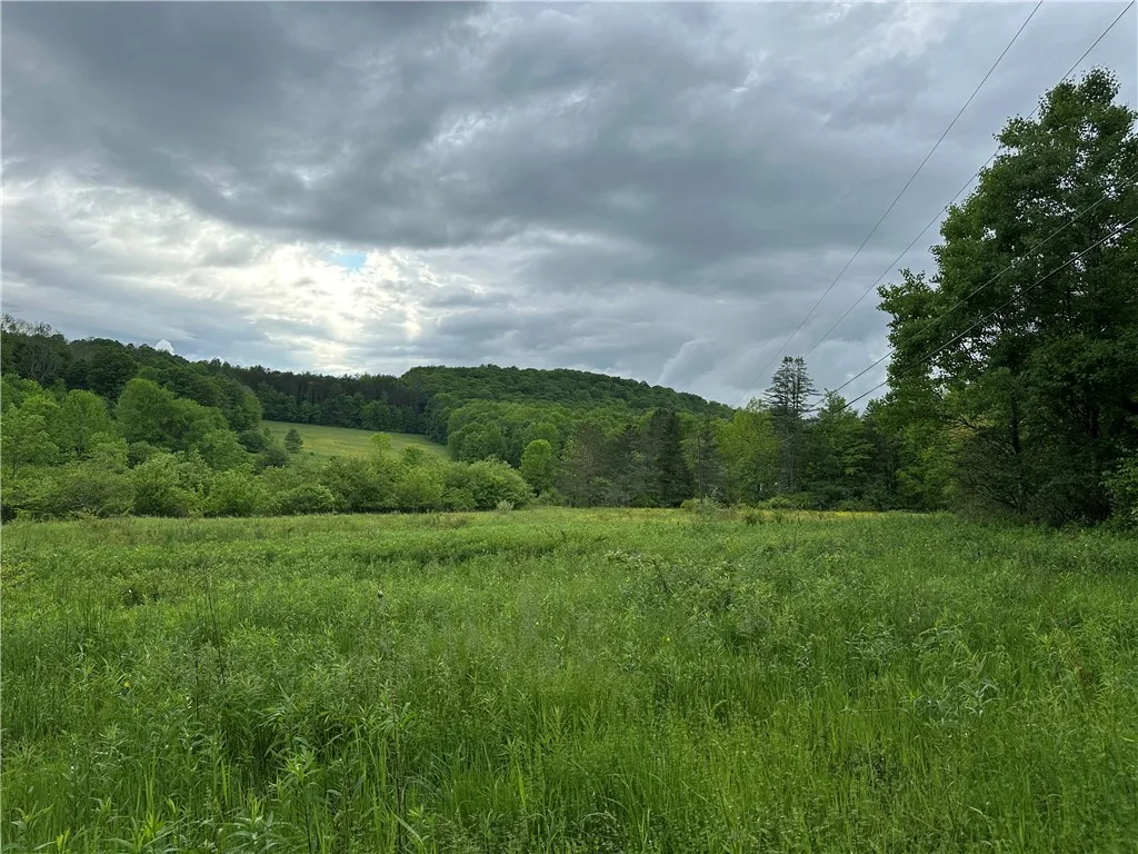 7739 Monihan Road, Wirt, New York 14739, Wirt, New York 14739, 5 Bedrooms Bedrooms, ,1 BathroomBathrooms,Land,For Sale,7739 Monihan Road, Wirt, New York 14739,R1622592