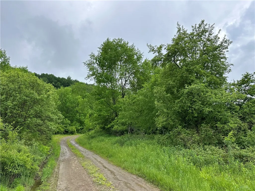 7739 Monihan Road, Wirt, New York 14739, Wirt, New York 14739, 5 Bedrooms Bedrooms, ,1 BathroomBathrooms,Land,For Sale,7739 Monihan Road, Wirt, New York 14739,R1622592