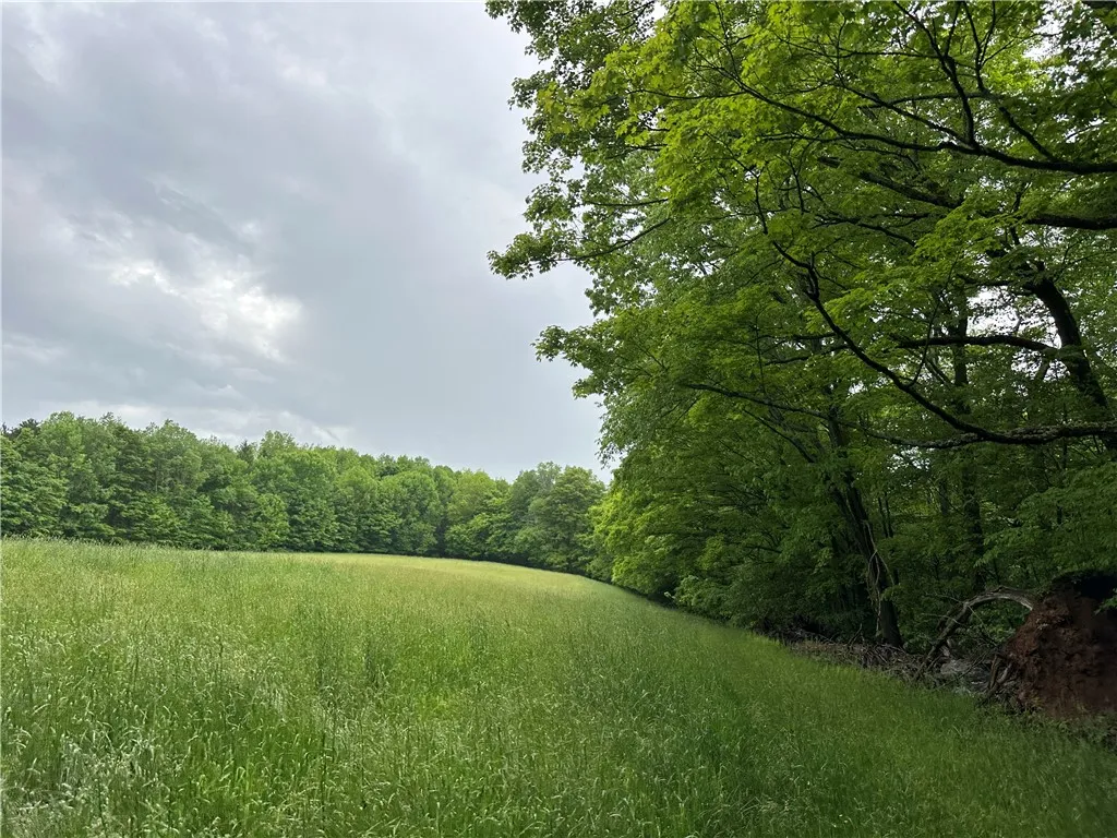 7739 Monihan Road, Wirt, New York 14739, Wirt, New York 14739, 5 Bedrooms Bedrooms, ,1 BathroomBathrooms,Land,For Sale,7739 Monihan Road, Wirt, New York 14739,R1622592