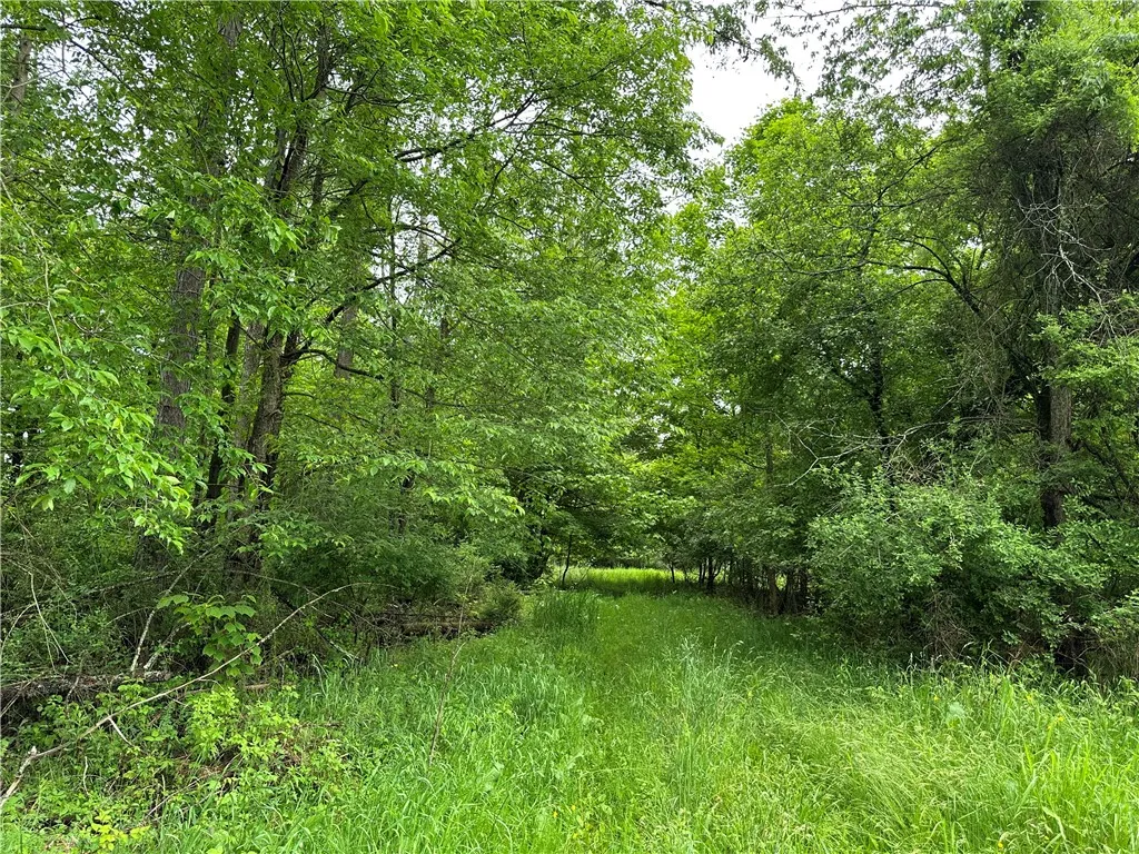 7739 Monihan Road, Wirt, New York 14739, Wirt, New York 14739, 5 Bedrooms Bedrooms, ,1 BathroomBathrooms,Land,For Sale,7739 Monihan Road, Wirt, New York 14739,R1622592