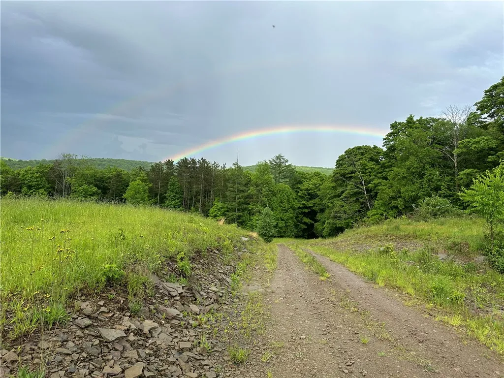 7739 Monihan Road, Wirt, New York 14739, Wirt, New York 14739, 5 Bedrooms Bedrooms, ,1 BathroomBathrooms,Land,For Sale,7739 Monihan Road, Wirt, New York 14739,R1622592
