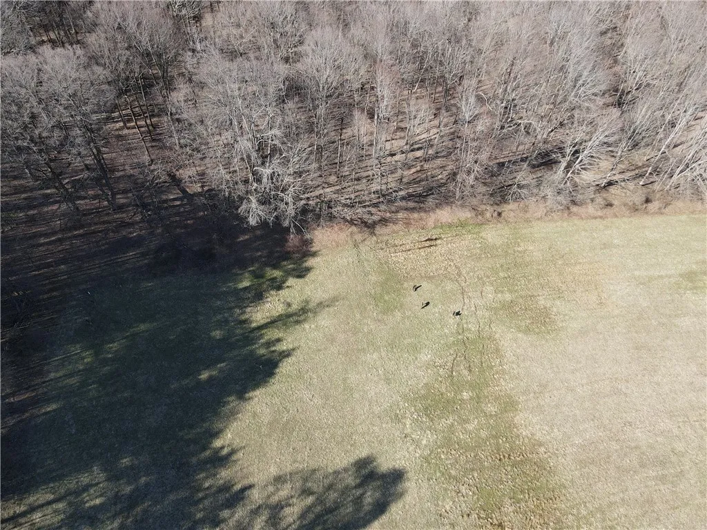 7739 Monihan Road, Wirt, New York 14739, Wirt, New York 14739, 5 Bedrooms Bedrooms, ,1 BathroomBathrooms,Land,For Sale,7739 Monihan Road, Wirt, New York 14739,R1622592