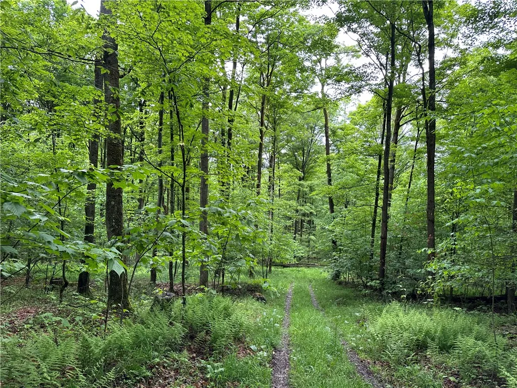 7739 Monihan Road, Wirt, New York 14739, Wirt, New York 14739, 5 Bedrooms Bedrooms, ,1 BathroomBathrooms,Land,For Sale,7739 Monihan Road, Wirt, New York 14739,R1622592