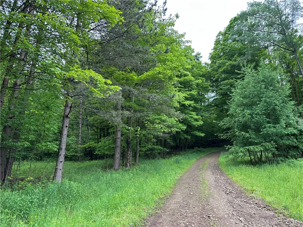 7739 Monihan Road, Wirt, New York 14739, Wirt, New York 14739, 5 Bedrooms Bedrooms, ,1 BathroomBathrooms,Land,For Sale,7739 Monihan Road, Wirt, New York 14739,R1622592