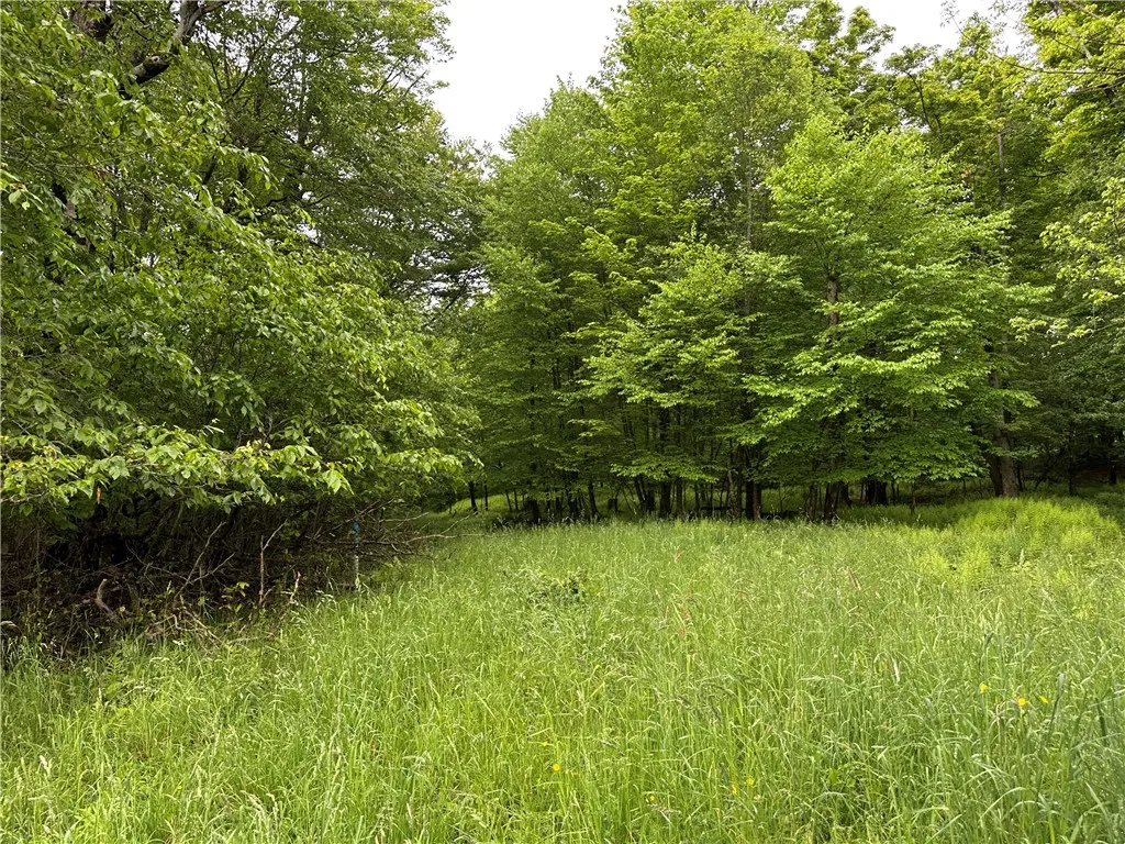 7739 Monihan Road, Wirt, New York 14739, Wirt, New York 14739, 5 Bedrooms Bedrooms, ,1 BathroomBathrooms,Land,For Sale,7739 Monihan Road, Wirt, New York 14739,R1622592