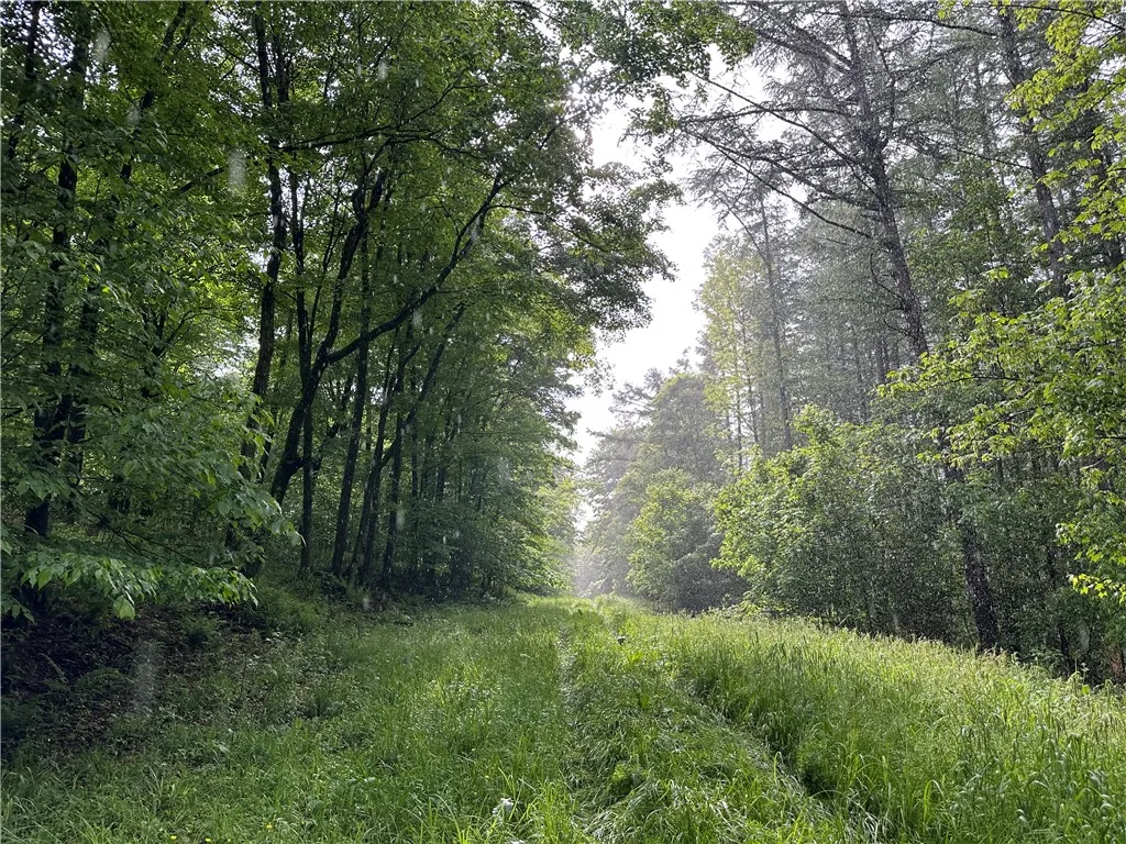 7739 Monihan Road, Wirt, New York 14739, Wirt, New York 14739, 5 Bedrooms Bedrooms, ,1 BathroomBathrooms,Land,For Sale,7739 Monihan Road, Wirt, New York 14739,R1622592