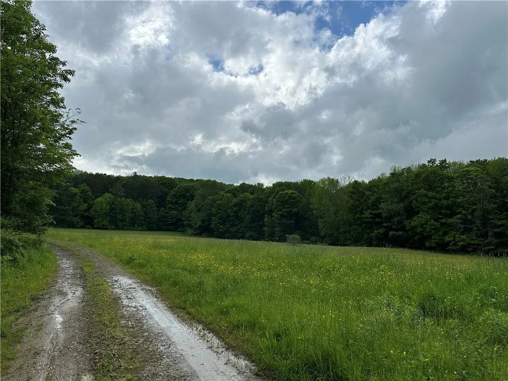 7739 Monihan Road, Wirt, New York 14739, Wirt, New York 14739, 5 Bedrooms Bedrooms, ,1 BathroomBathrooms,Land,For Sale,7739 Monihan Road, Wirt, New York 14739,R1622592