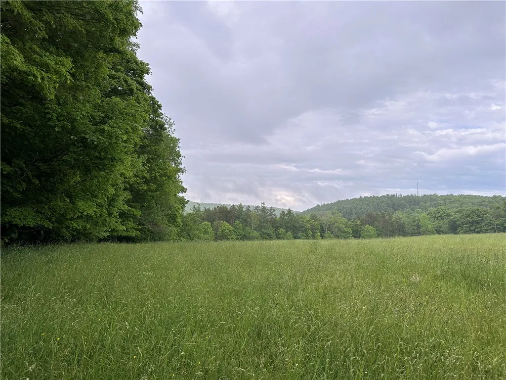 7739 Monihan Road, Wirt, New York 14739, Wirt, New York 14739, 5 Bedrooms Bedrooms, ,1 BathroomBathrooms,Land,For Sale,7739 Monihan Road, Wirt, New York 14739,R1622592