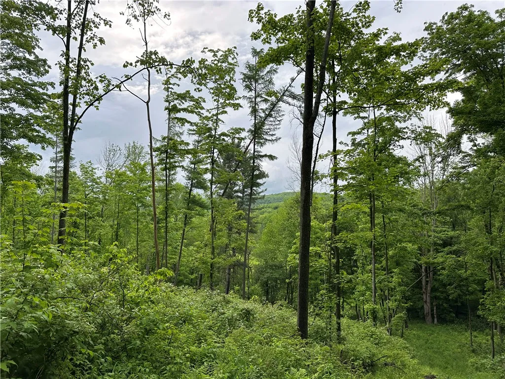7739 Monihan Road, Wirt, New York 14739, Wirt, New York 14739, 5 Bedrooms Bedrooms, ,1 BathroomBathrooms,Land,For Sale,7739 Monihan Road, Wirt, New York 14739,R1622592