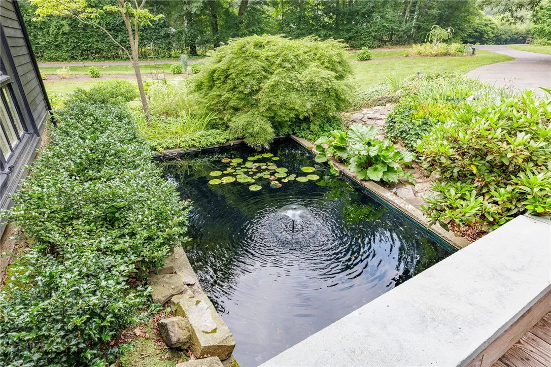 Koi pond