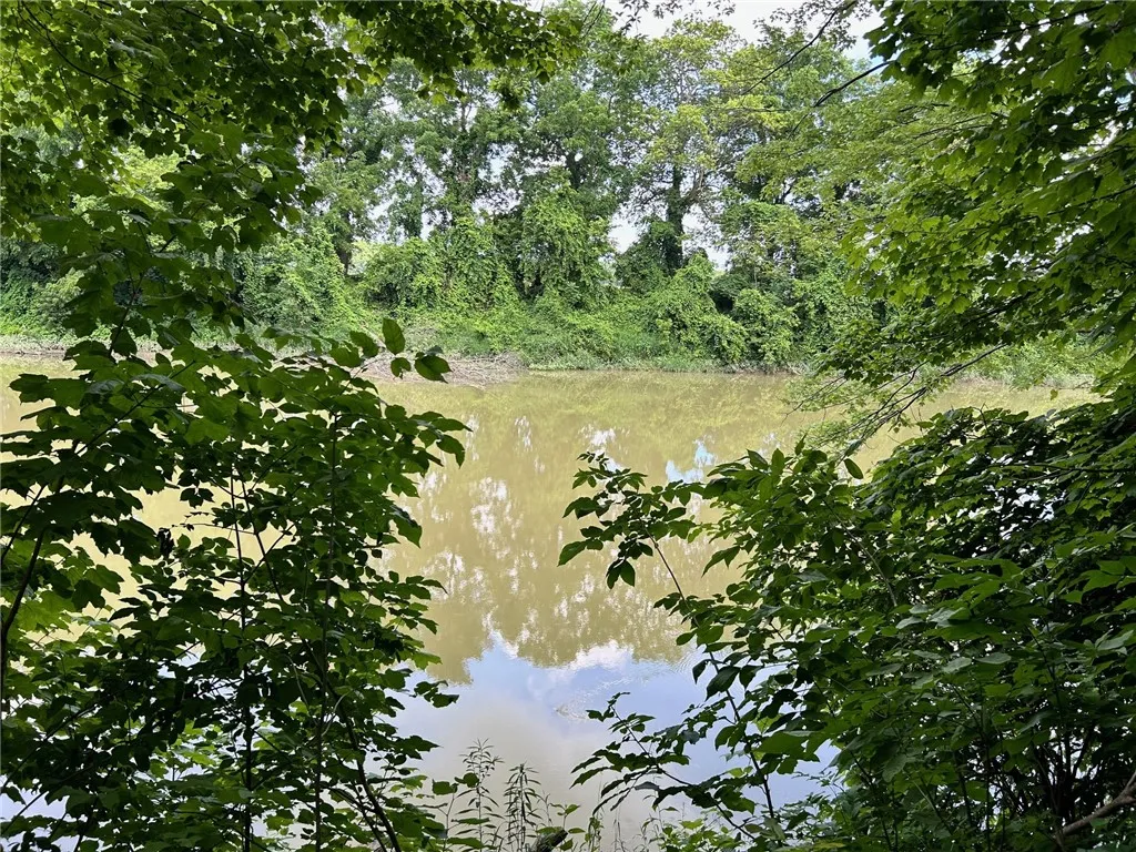 Breese Park